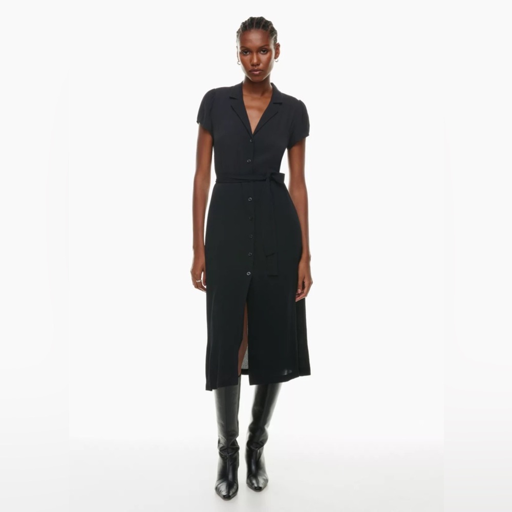Aritzia | Shirt Dress